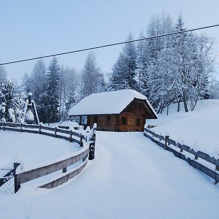 Ferienhaus Gobald Murau Exterior foto